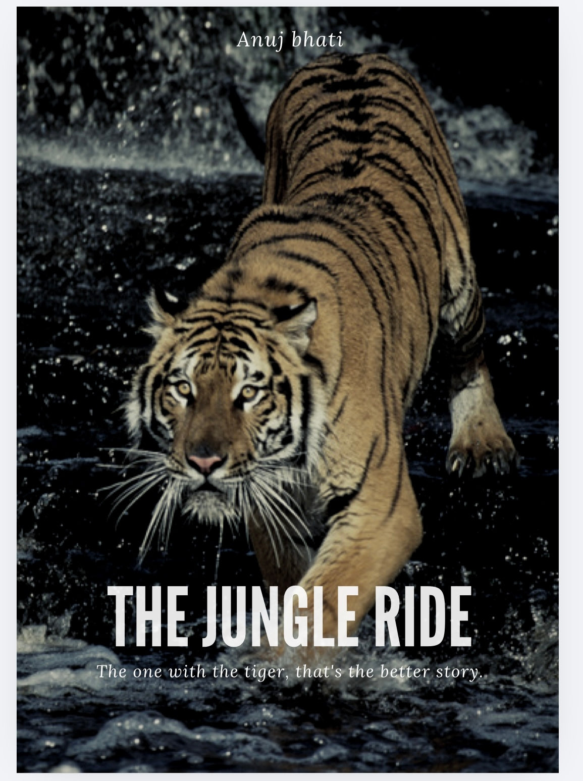 The jungle Ride - Anuj Bhati
